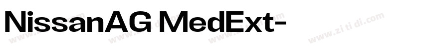 NissanAG MedExt字体转换